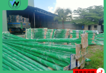 SƠN TRỤ ĐIỆN SƠN TRỤ ĐIỆN