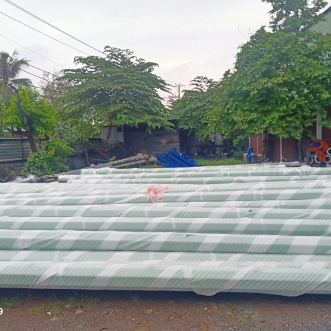 DỰ ÁN SƠN TRỤ ĐIỆN